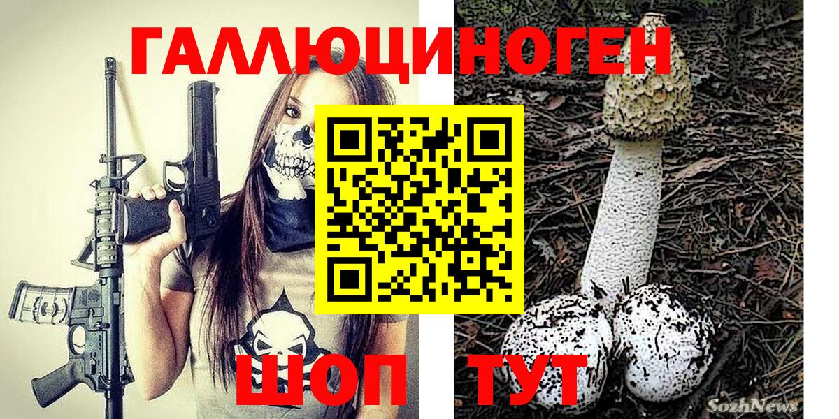 Псилоцибиновые грибы ЛСД  Псилоцибиновые грибы MAGIC MUSHROOMS  Зеленодольск  Вход с VPN 